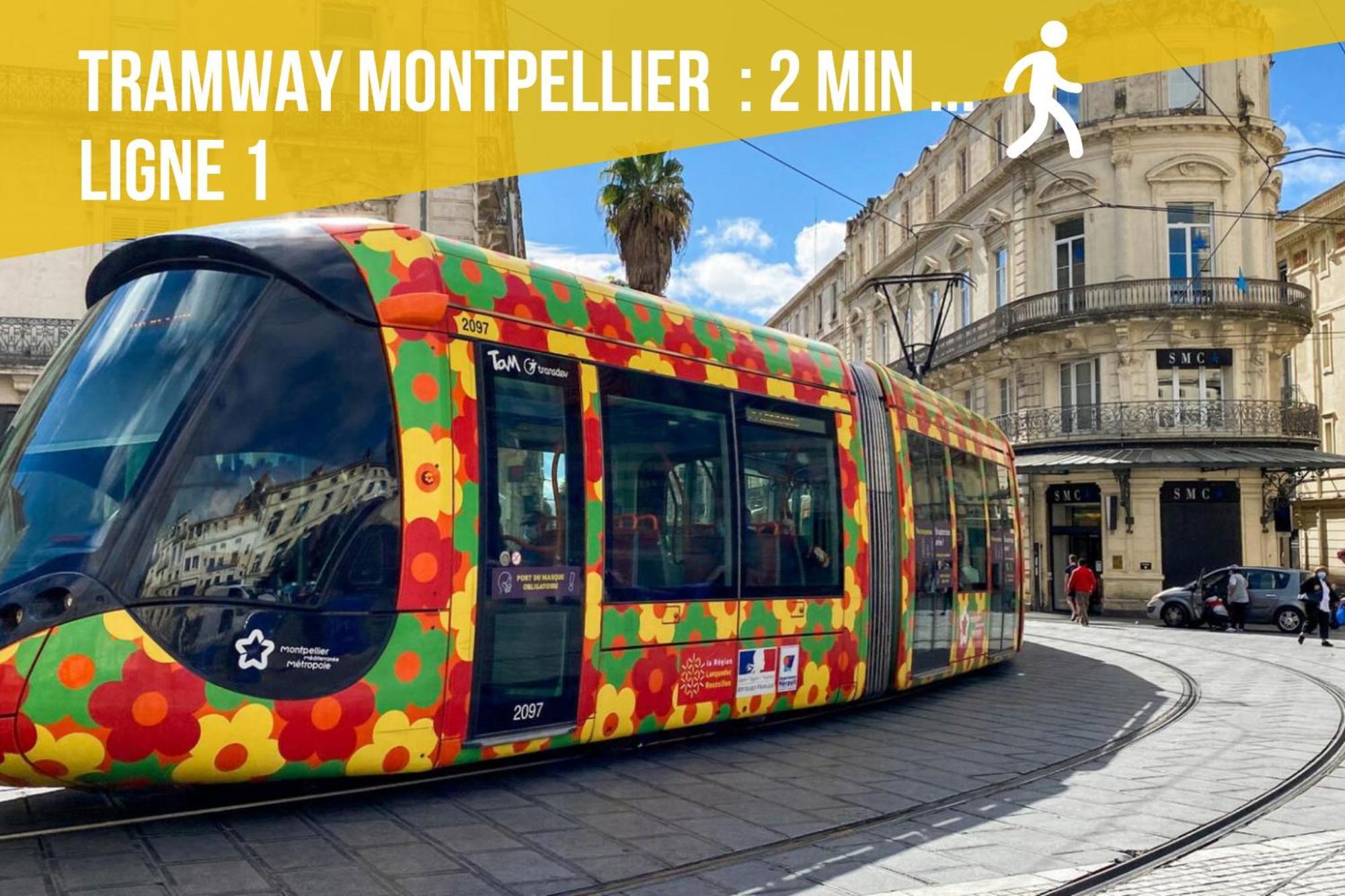 Le Chapeau Rouge - Centre Historique - Corum - Tramway - Climatisation Montpellier Bagian luar foto